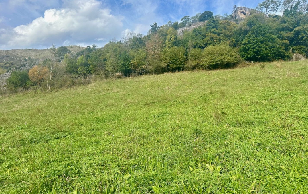 Annonces FOIX : Terrain | TARASCON-SUR-ARIEGE (09400) | 0 m2 | 88 000 € 